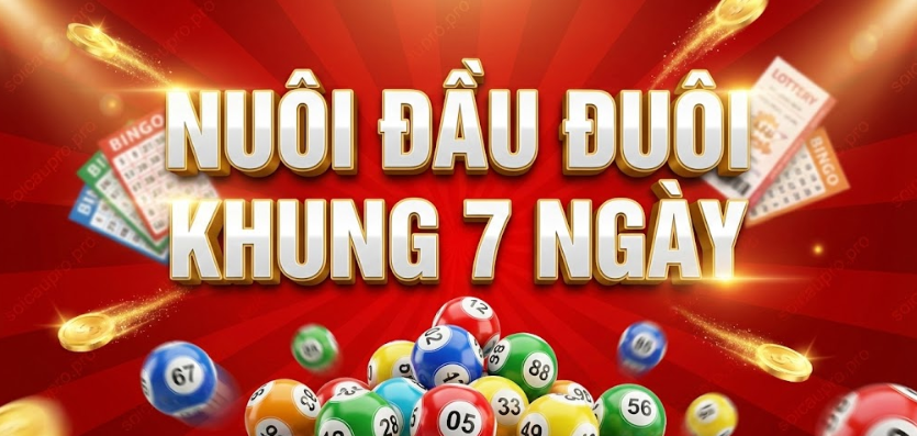 Nuôi Đầu Đuôi Khung 7 Ngày