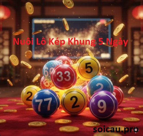 nuôi lô kép khung 5 ngày